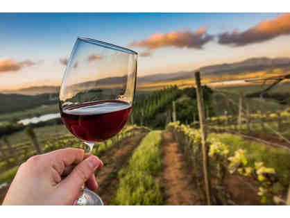 Wine Tasting Flights by Grandview Vineyard