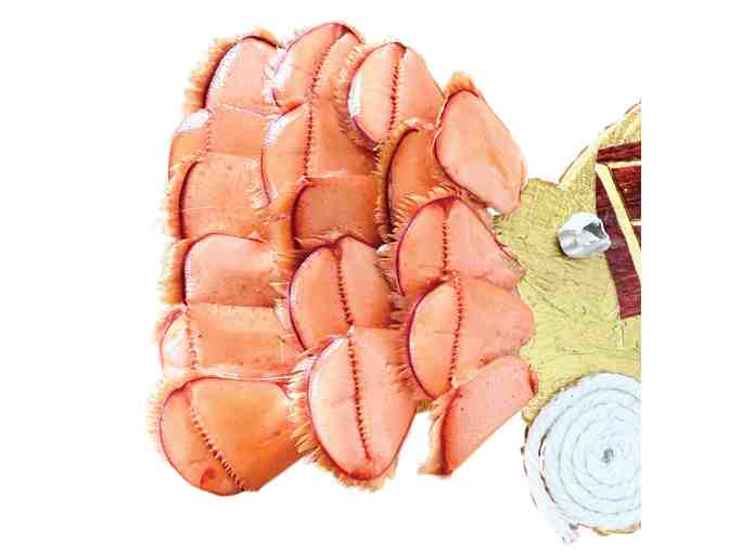 The Barney-Cod By Brenda Kelley Kim