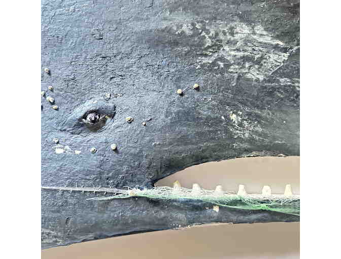 Old Man Of The Sea By Jen Chaisson