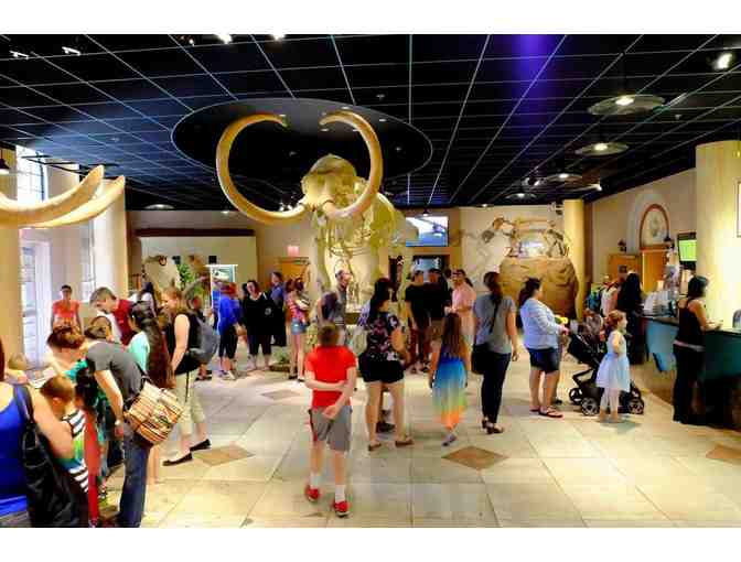 Step Back in Time at The Arizona Museum of Natural History