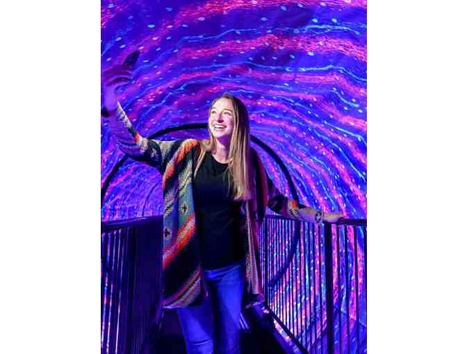 Santa Monica Museum of Illusions Tickets