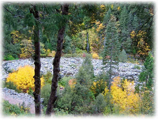 CA - Sierra City - Sierra Pines Resort - One Night Get Away