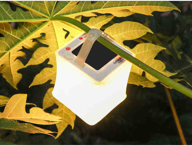 LuminAid PackLite Firefly USB Lantern: 2-Pack