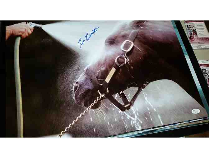 Memorabilia Fire Sale - All or Nothing