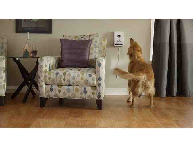 Petzi Treat Cam: Wi-Fi Pet Camera & Treat Dispenser
