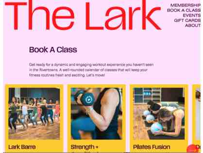 The Lark 10-class pack