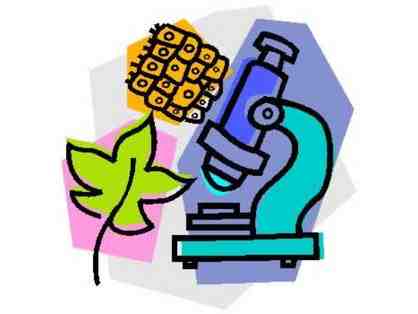 1 hr of Regents Biology or Regents Chemistry Tutoring