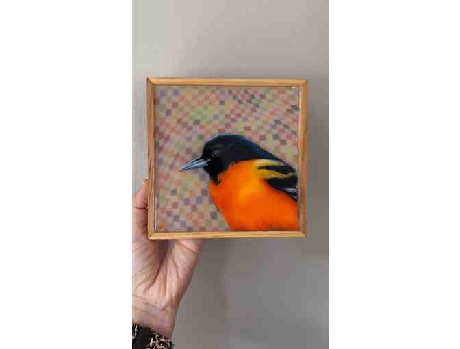 Disco Oriole