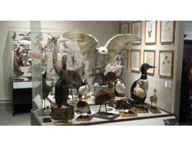 Museum, Zoo and Eats