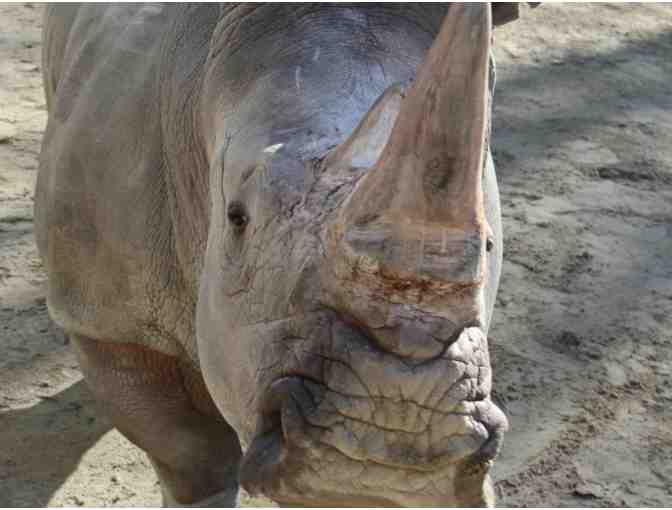 Explore Southern New England