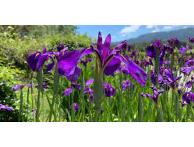 Sonoma Botanical Garden Membership Package