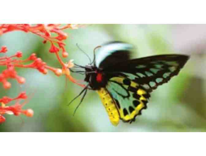 Butterfly World Guest Passes - Coconut Creek, FL