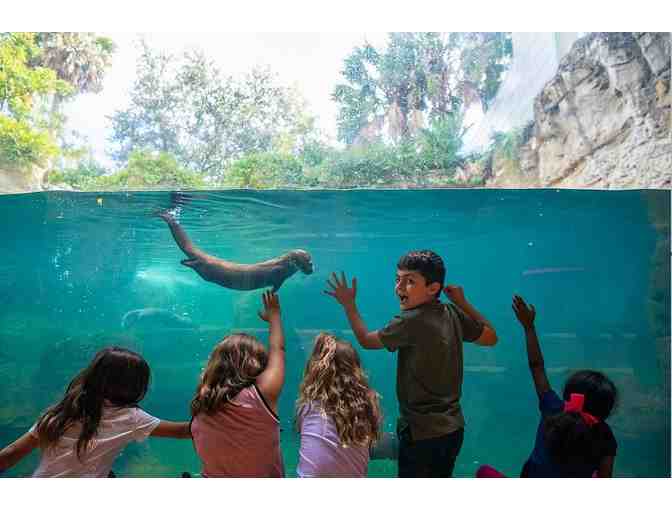 The Museum of Discovery and Science, Ft. Lauderdale, FL