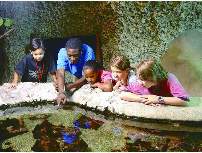 The Museum of Discovery and Science, Ft. Lauderdale, FL