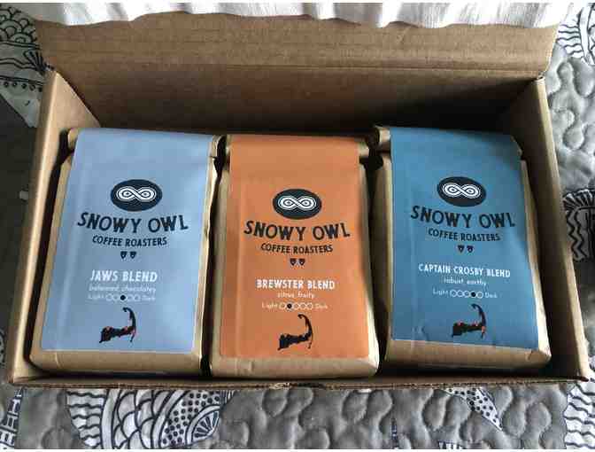 Snowy Owl Coffee