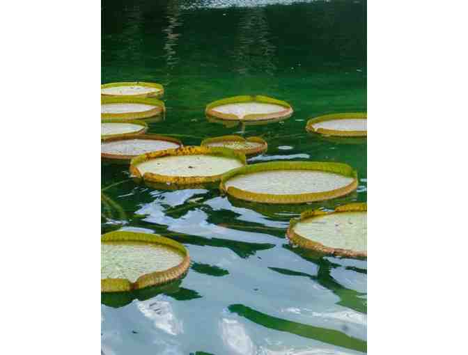 Cedar Lakes Woods and Gardens Williston FL - 2 Guest Passes