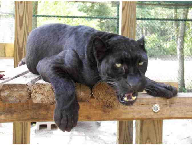 Catty Shack Ranch Wildlife Sanctuary - Guest Passes for 2