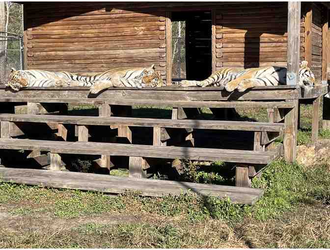 Catty Shack Ranch Wildlife Sanctuary - Guest Passes for 2