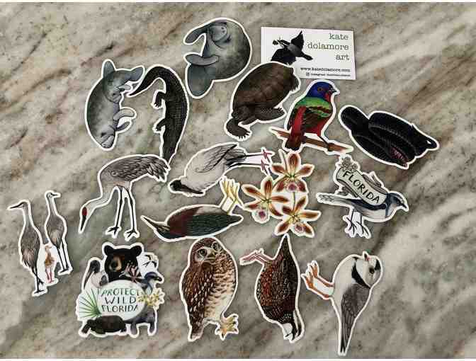 Learn about Wildlife - Draw, play and read