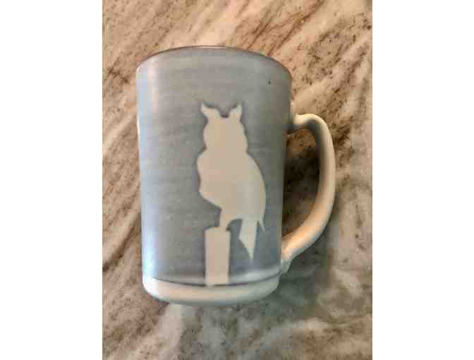 A mug of tea and a book about burrowing owls!