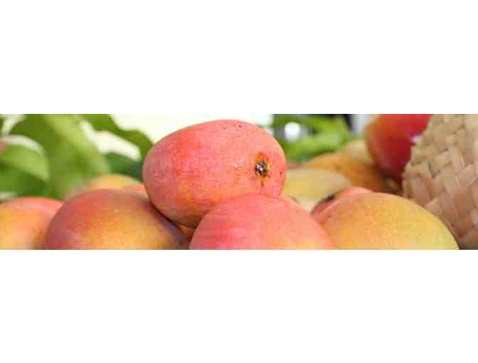 One Year Membership - Fairchild Botanical Garden