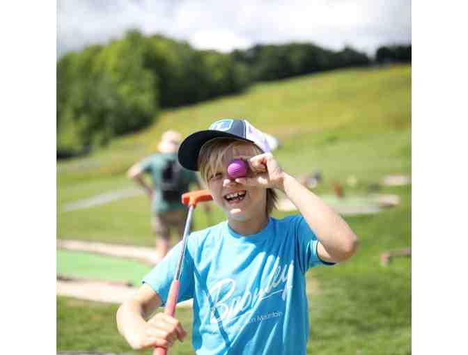 Bromley Mountain Adventure Park - Two All Day Passes