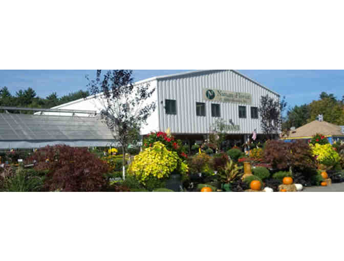 Nunan Florist & Greenhouses (Georgetown) - $50 Gift Card