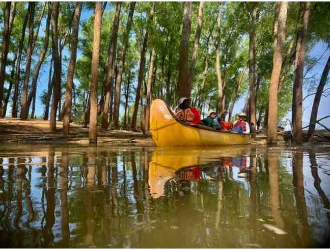 Canoe the Mighty Mississippi with Quapaw Canoe Co. - Photo 3