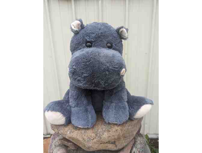 Happy as a Hippo Book and Stuffie