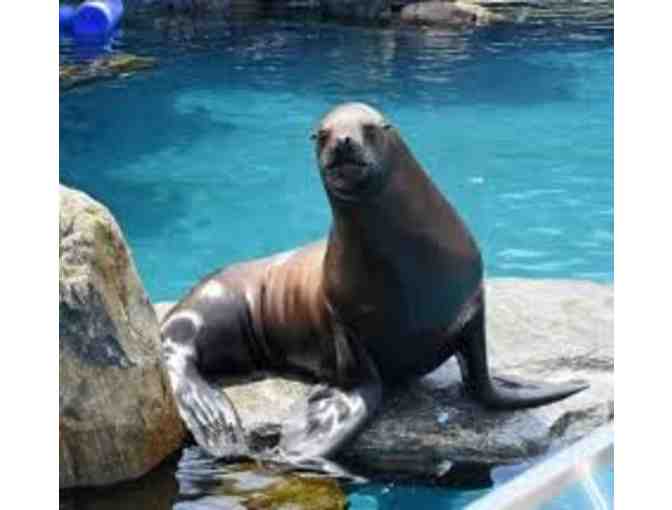 Mystic Aquarium (FREE, 2 Tickets) - Admission, $76 Value)