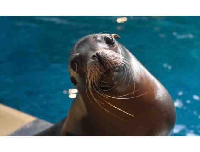 Mystic Aquarium (FREE, 2 Tickets) - Admission, $76 Value)