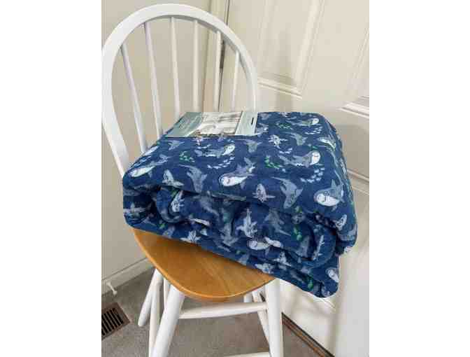 1 SHARK Blanket - Soft (Queen/Full Plush Velvet, Size 88' x 88')