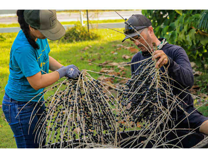 Grand Farm Tour for Four (4) at Kahuku Farms (OAHU)