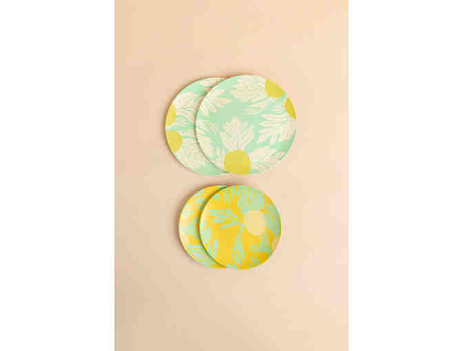 Fighting Eel Home Kitchen Ulu Bundle-2