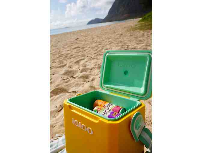 Hawaiian Soda Co. Collection