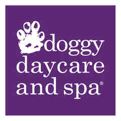 Doggy Daycare and Spa