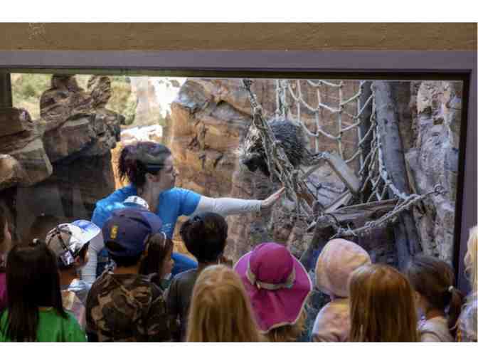 CuriOdyssey Science Playground and Zoo 3 Month Season Pass