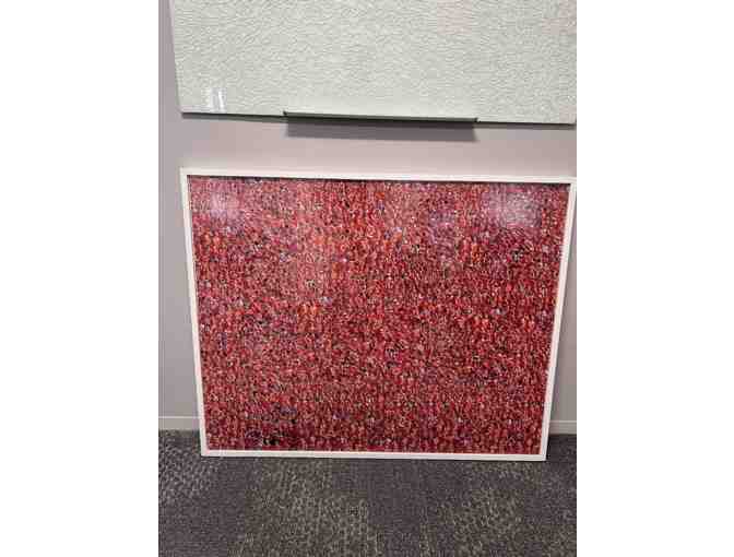 Illinois vs. Michigan, Illini Fans