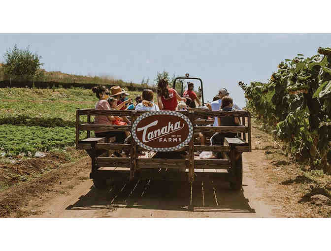 TANAKA FARMS - Seasonal Farm Tour worth $150 for 4 people