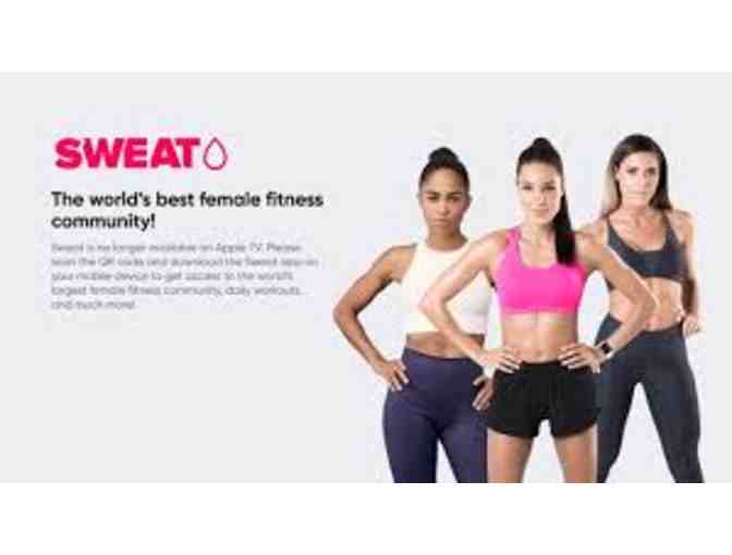 6 Month subscription to SWEAT App