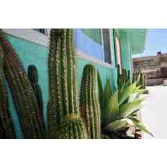 Eric & Gabrielle Ernst