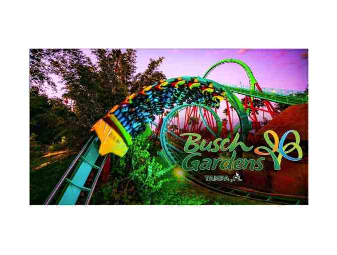 Busch Gardens Tampa Bay - 2 Tickets - Photo 1