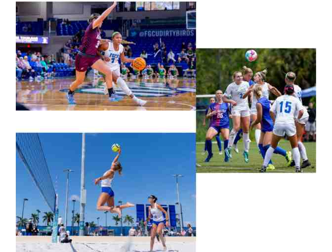 FGCU Eagles - Blue. Green. Game On.