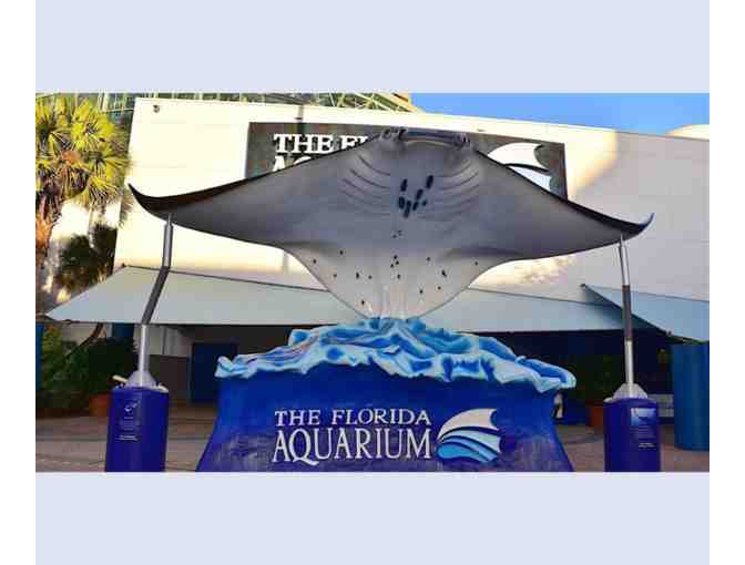 Out to Sea- Florida Aquarium and One ticket for the Key West Express