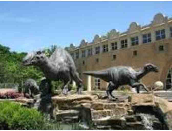 Fernbank Museum of Natural History, Atlanta GA