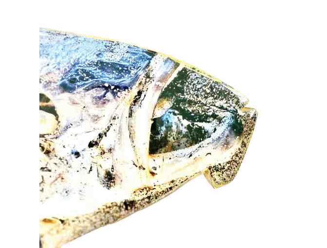 Codlution By Alessandra Donovan