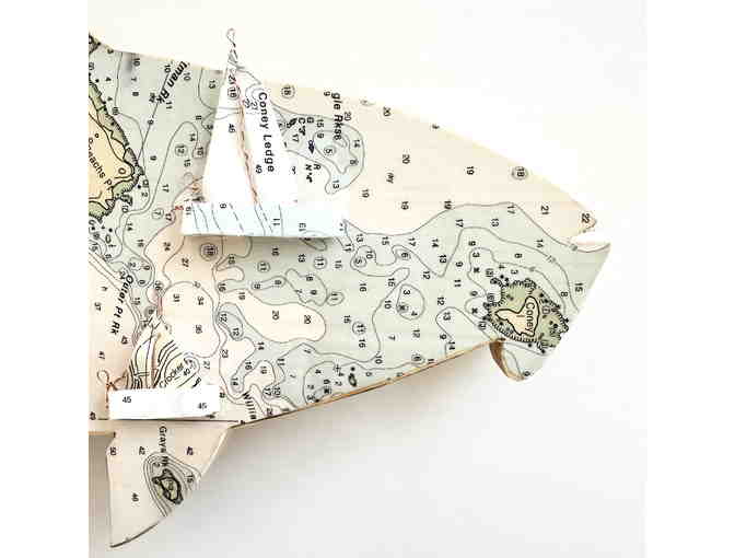 Time To Go Sailing By Paula Cardarelli