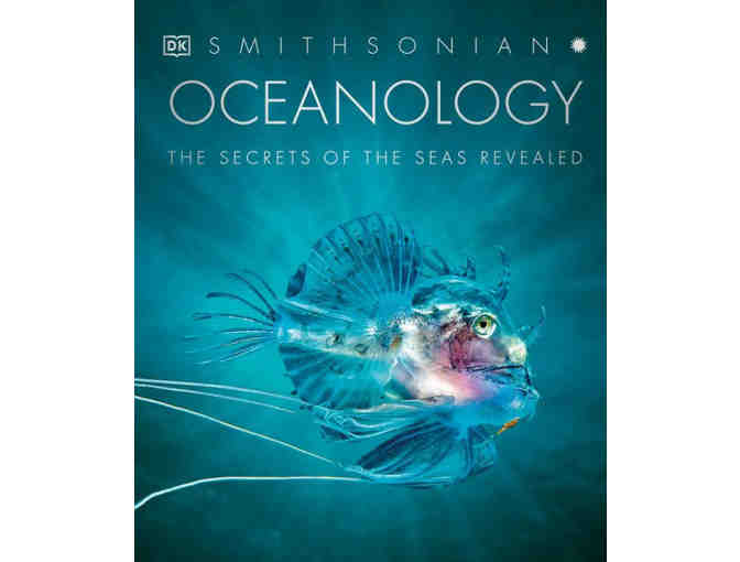 Class Basket: Nautical Necessities (Yanes)