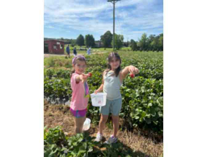 Class Basket: Escape to Adventure! The Ultimate Family Getaway (UE)