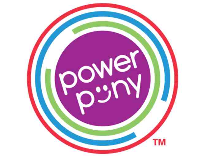 Power Pony: Grey Pony ('Apollo')